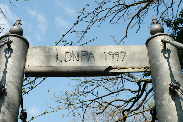 photograph
