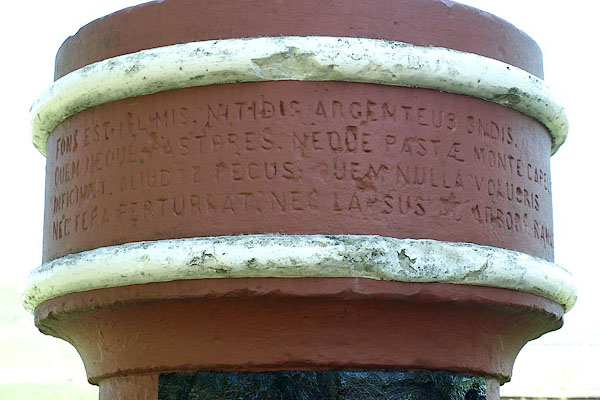 photograph