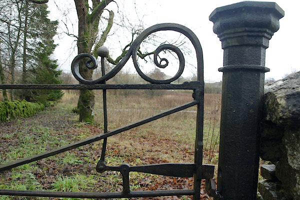 photograph