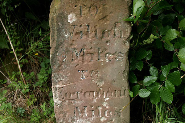 photograph