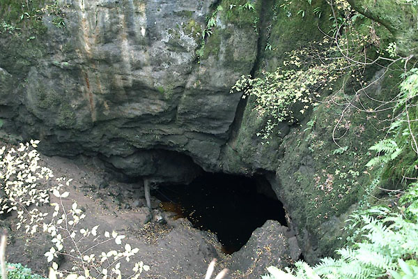 photograph