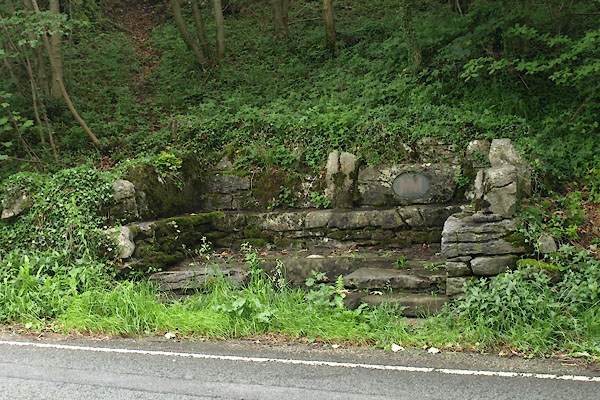 photograph