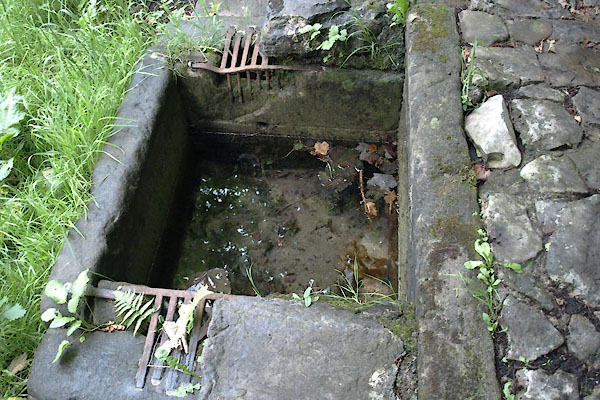 photograph