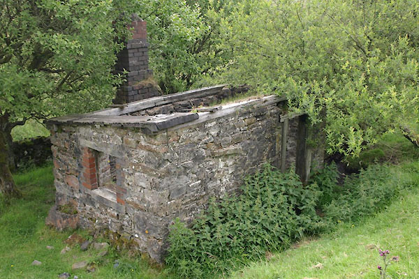 photograph