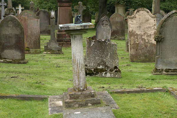 photograph