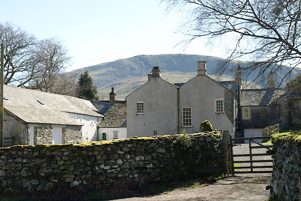 photograph