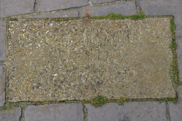 photograph