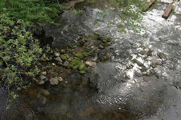 photograph