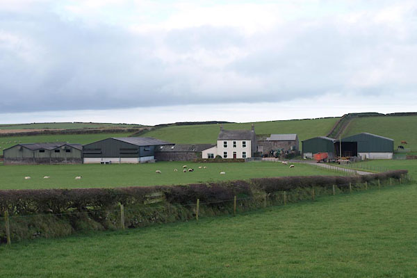 photograph