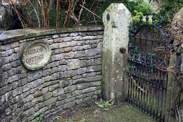 photograph