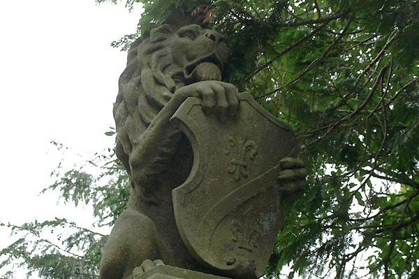 photograph