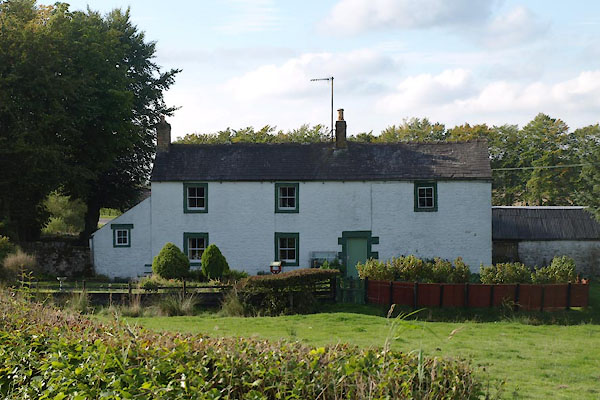 photograph