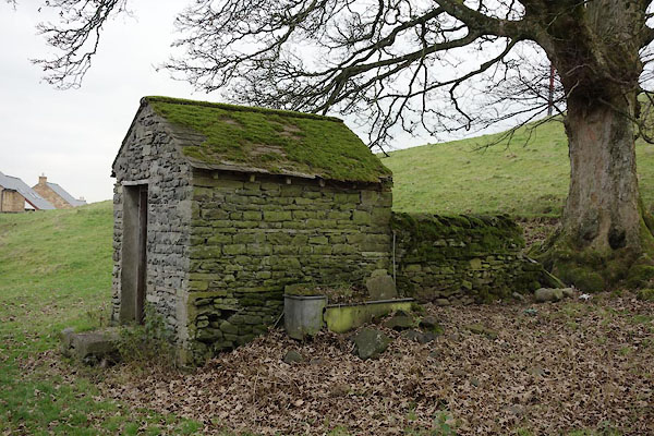 photograph