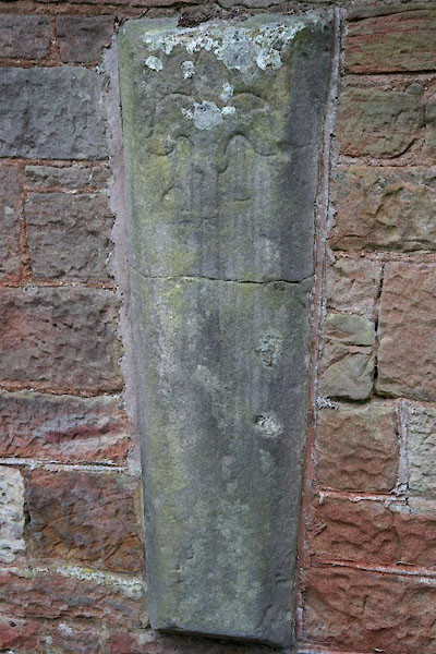 photograph