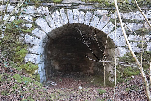 photograph