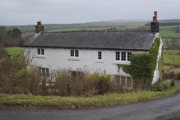 photograph