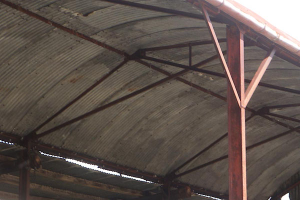 photograph