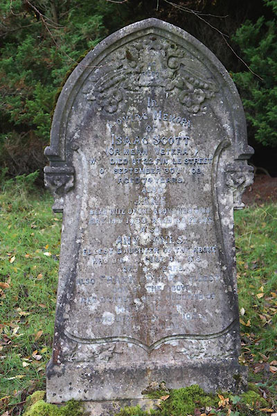 photograph