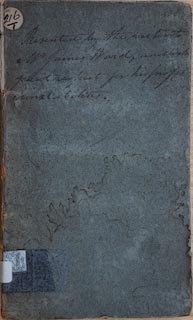 image, button to large image