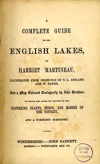 image, button to large image