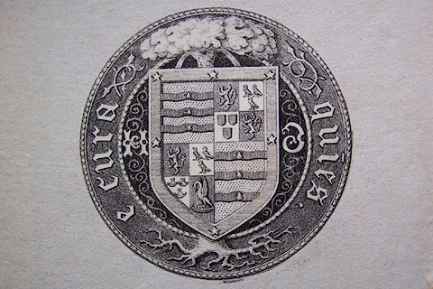 image, button to large image