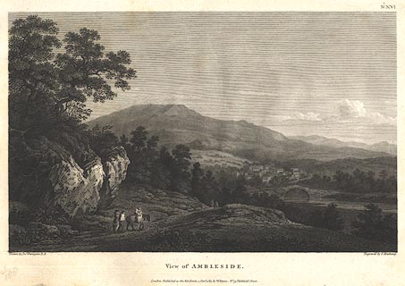 image, button to large image