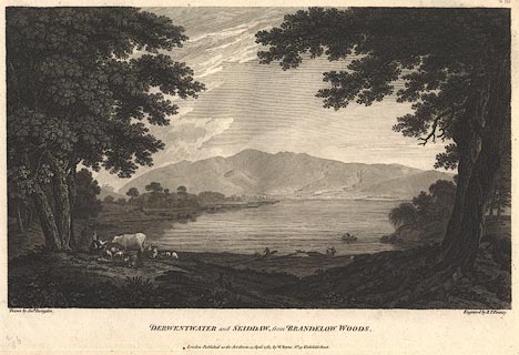 image, button to large image