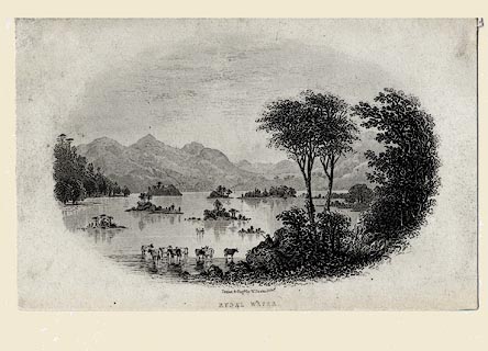 image, button to large image