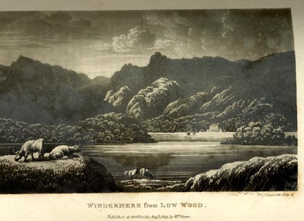 image, button to large image