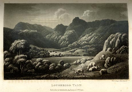 image, button to large image