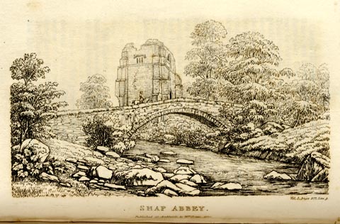 image, button to large image