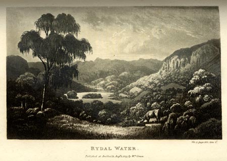 image, button to large image