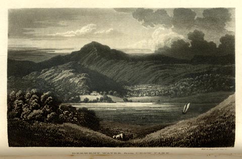 image, button to large image