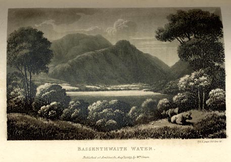 image, button to large image