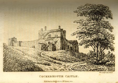 image, button to large image