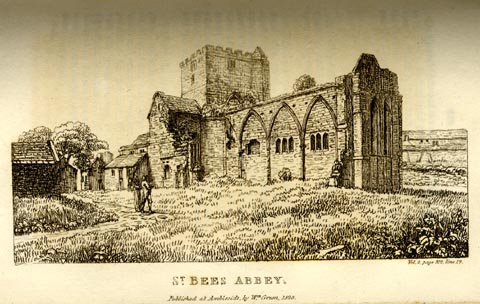 image, button to large image