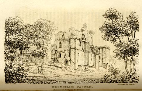 image, button to large image