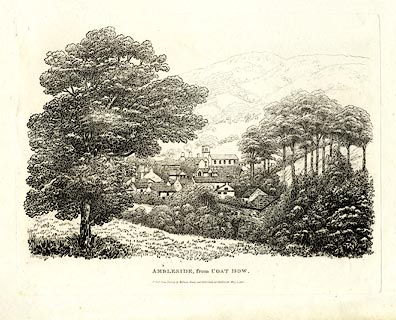 image, button to large image