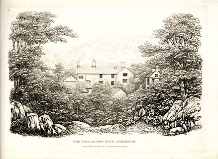 image, button to large image