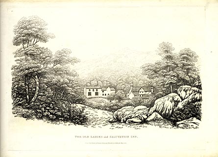 image, button to large image