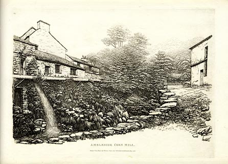 image, button to large image