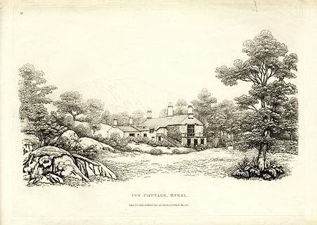 image, button to large image