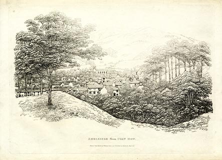 image, button to large image