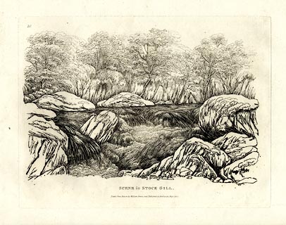 image, button to large image