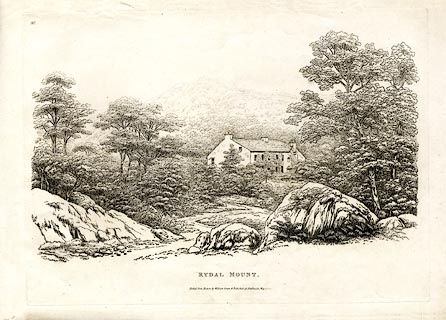 image, button to large image