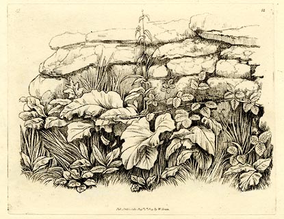 image, button to large image