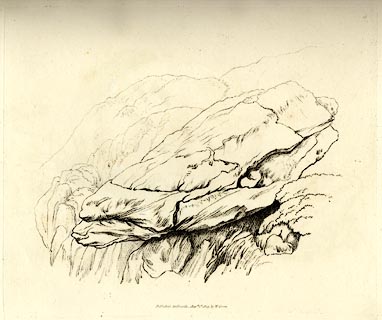 image, button to large image