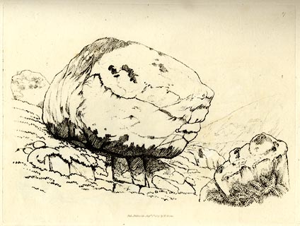 image, button to large image