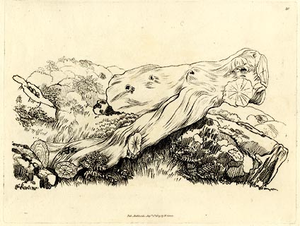 image, button to large image