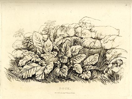 image, button to large image